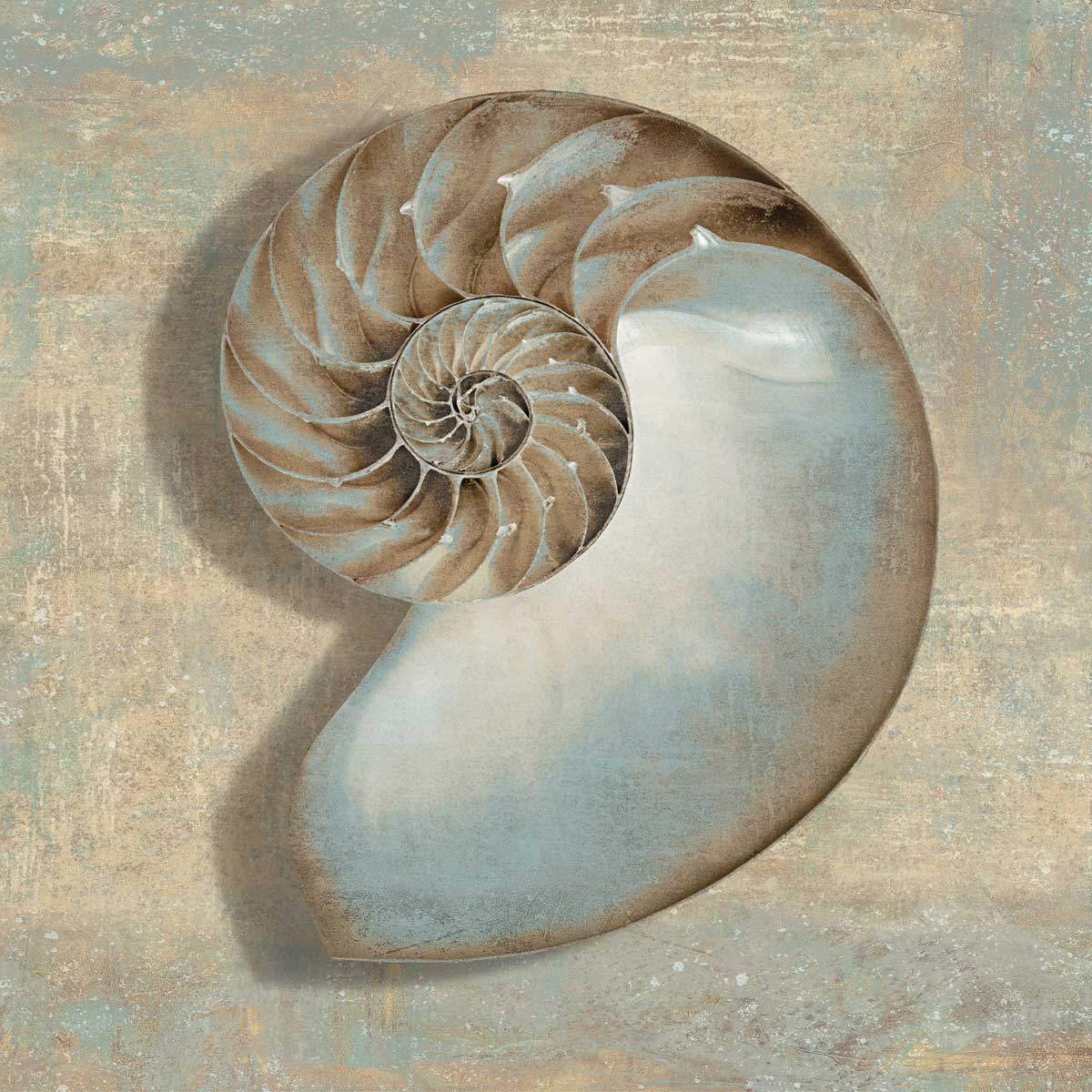 Aqua Nautilus