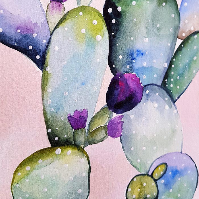 Cactus B