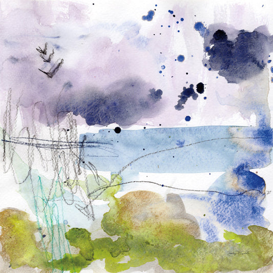 Coastal Storm I