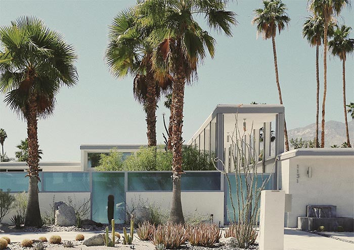 Desert Garden Mid Century Modern