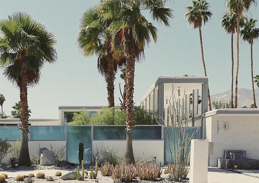 Desert Garden Mid Century Modern