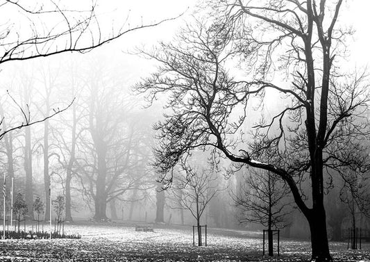 Foggy Day