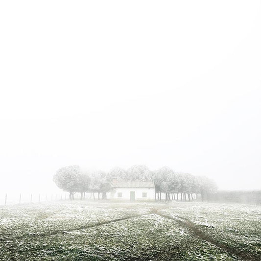 Fog on Moor