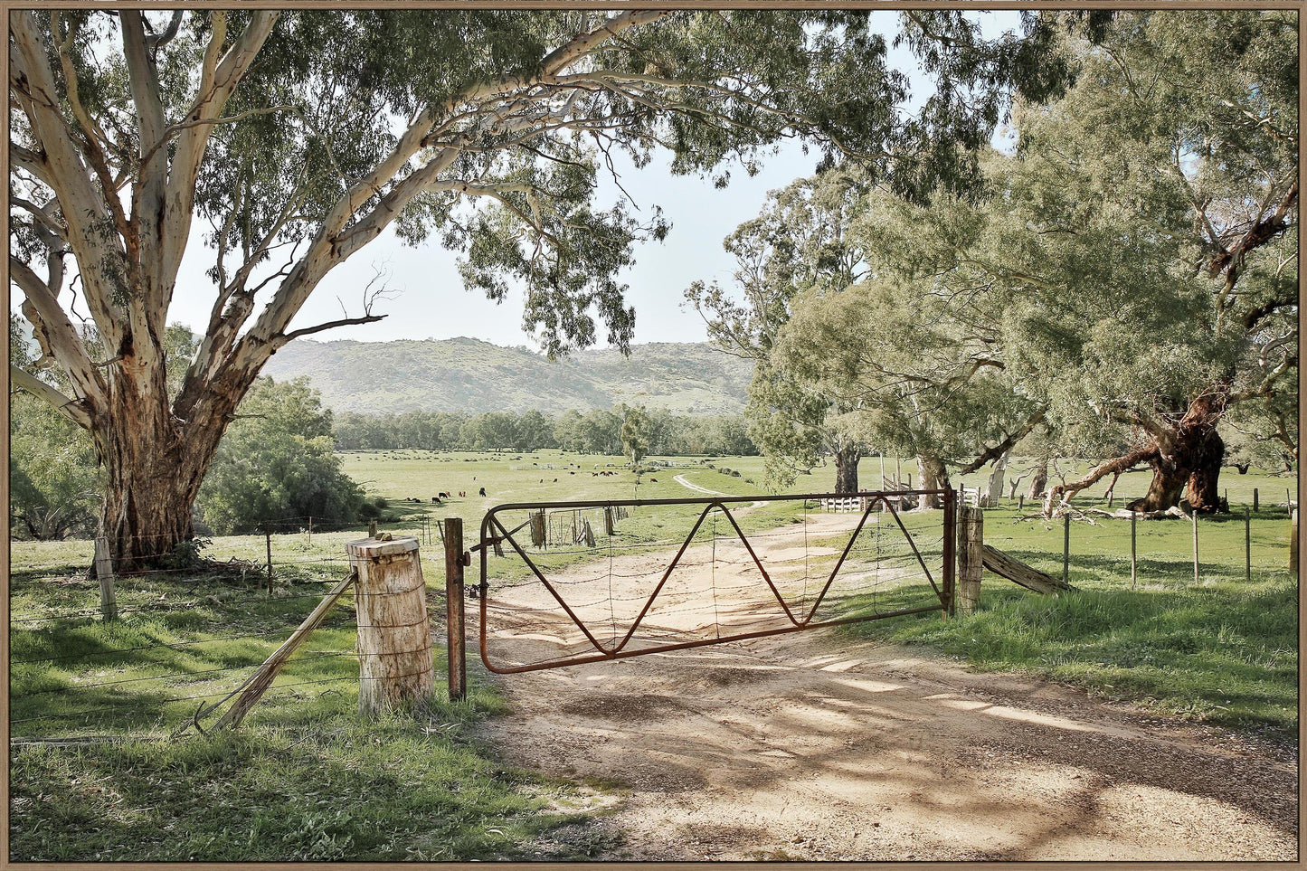 Gumtree Gate
