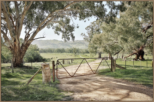 Gumtree Gate