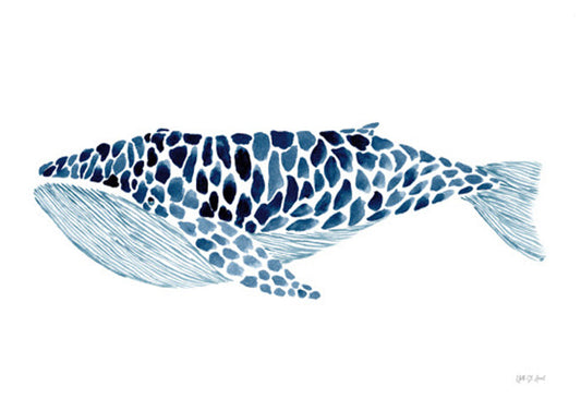 Humpback Whale
