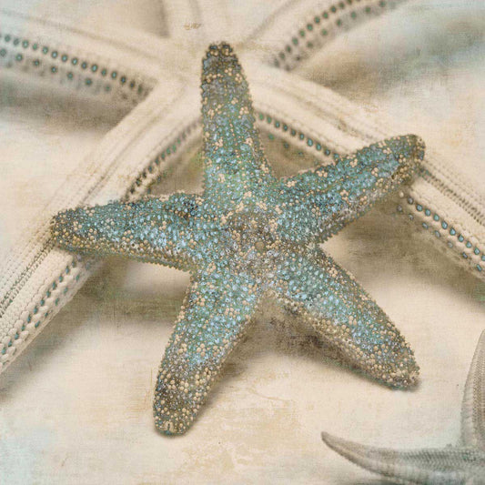 Coastal Gems III