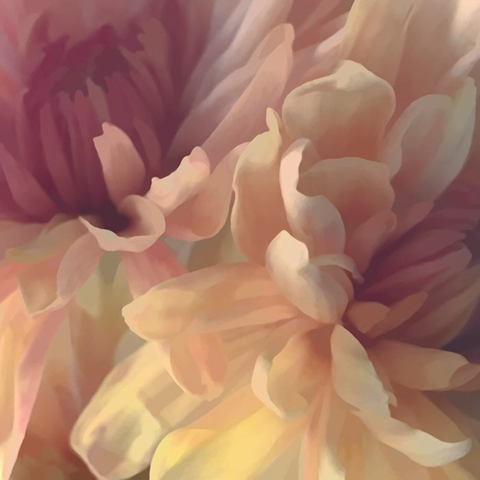 Chrysanthemum III