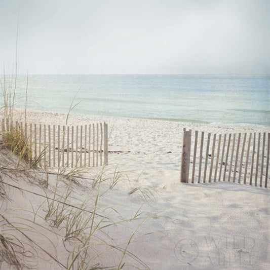 Beach Fence
