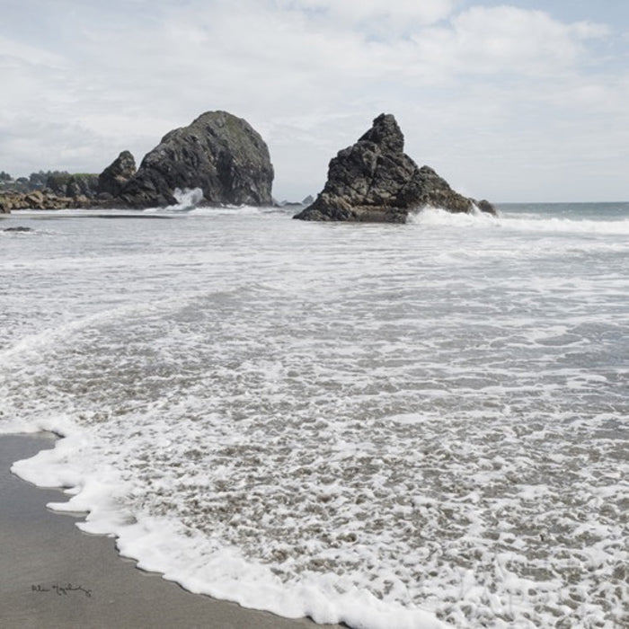 Harris Beach Oregon crop