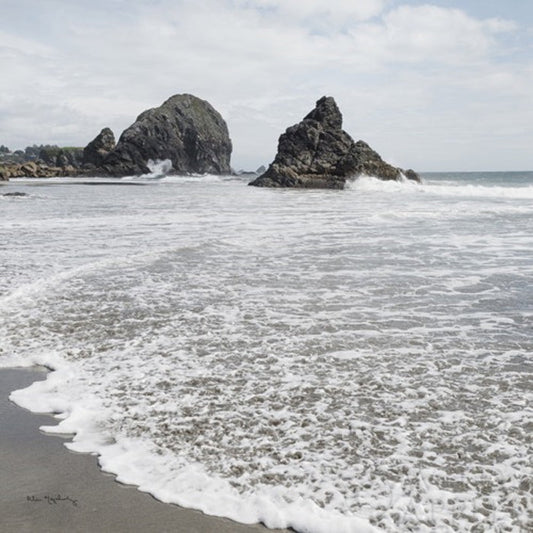 Harris Beach Oregon crop