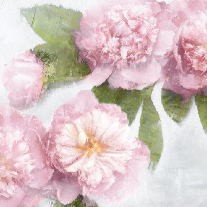 Pink Bloom II