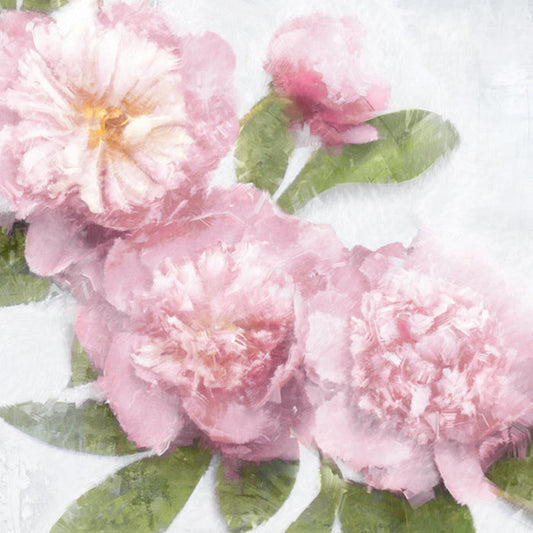 Pink Bloom I