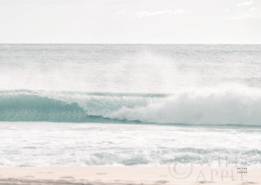 Curling Blue Crop