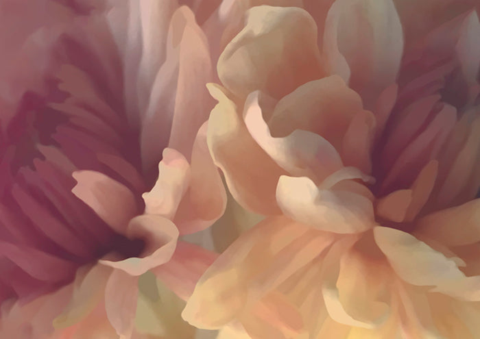 Chrysanthemum IV