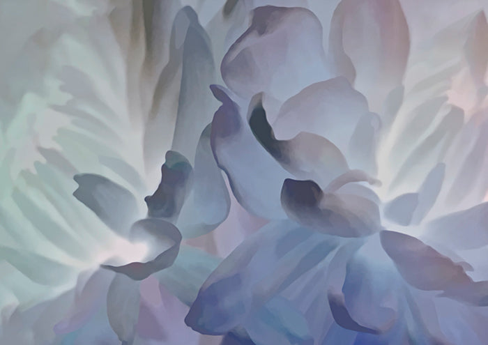 Chrysanthemum VI