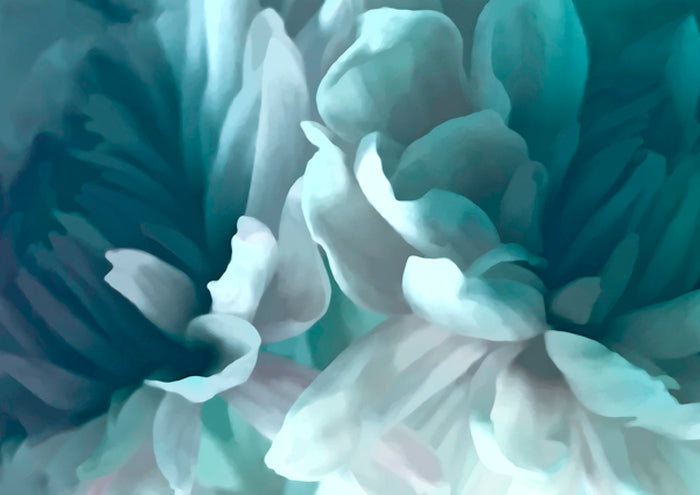 Chrysanthemum XVI