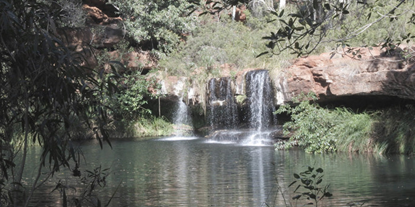 Bush Waterfall