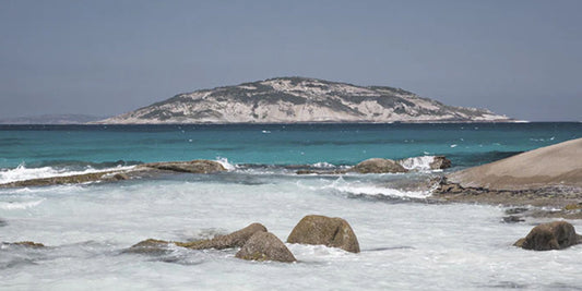 Panoramic Coastal Walk