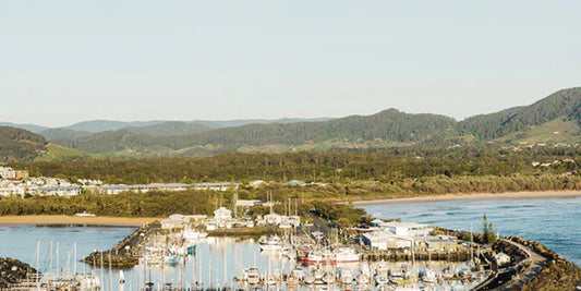 Calm Coastline II
