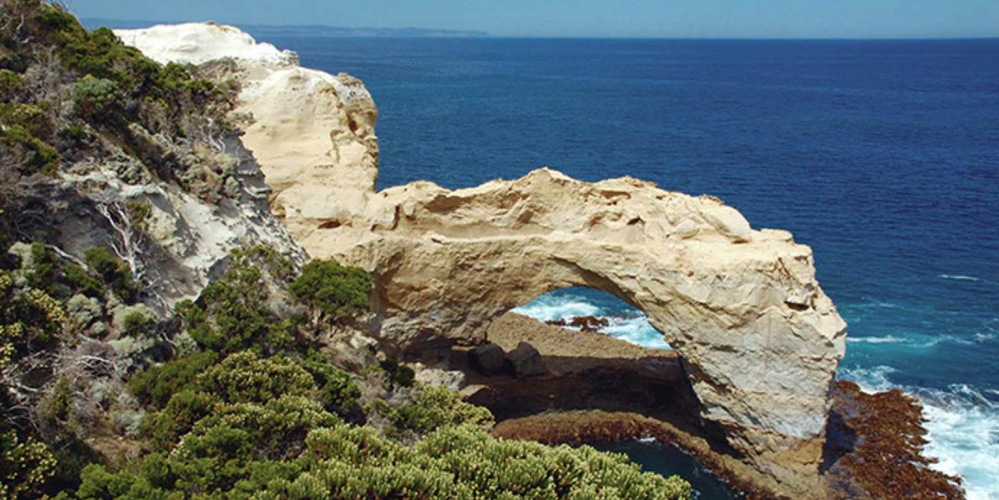 Sandy Cliffs