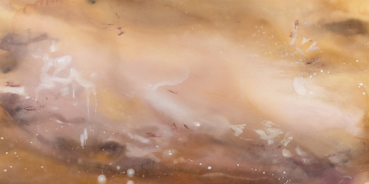 Desert Bloom Pano
