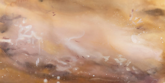 Desert Bloom Pano