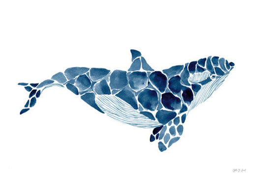 Killer Whale