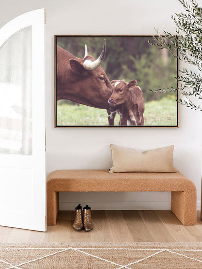 Longhorn Kiss