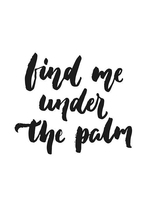 Find me under the palm