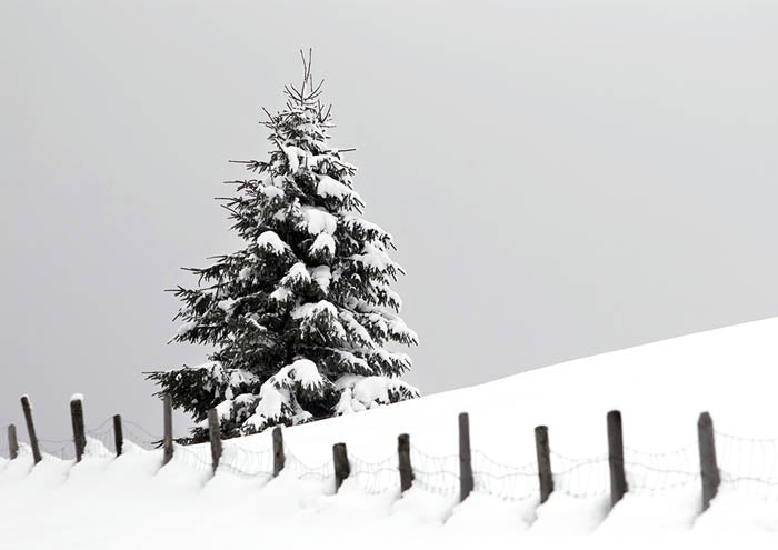 Minus 9