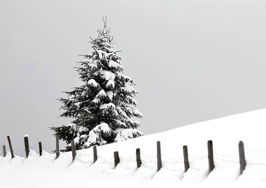 Minus 9