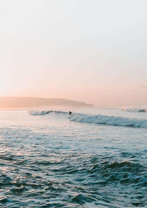 Mellow Surfer I