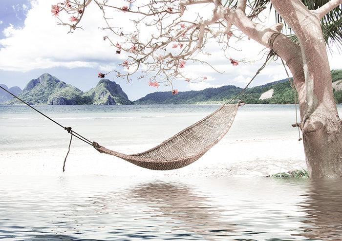 Hammock and Infinity Pool on Beach