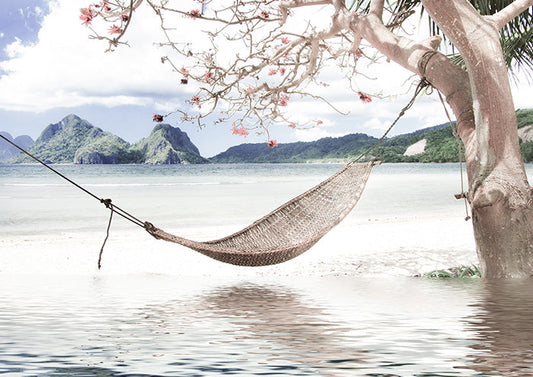 Hammock and Infinity Pool on Beach
