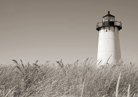 White Lighthouse in Tall Grass