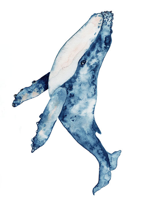 Whale Watercolour A