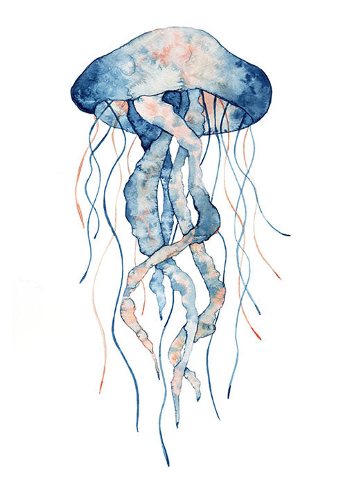 Jellyfish Watercolour B