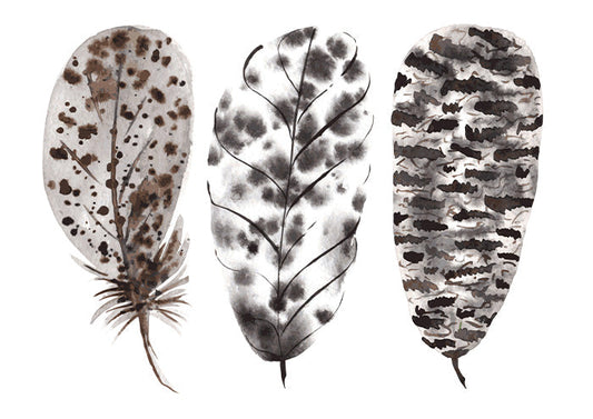 Feathers Together