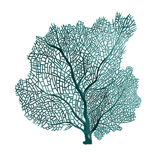 Coral I Teal