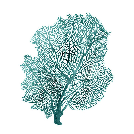 Coral II Teal