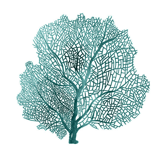 Coral III Teal