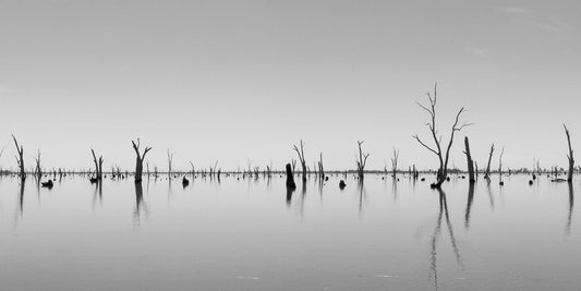 Mirrored Lake Panoramic