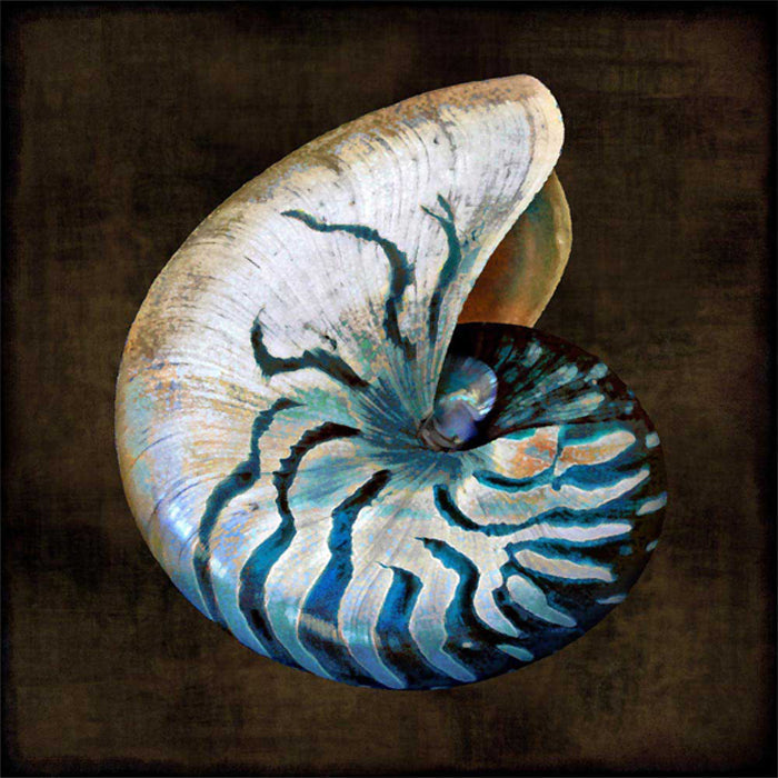 Ocean Treasure IV