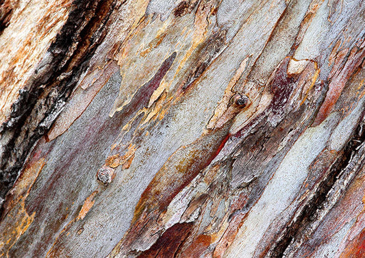 Bark on Diagonal