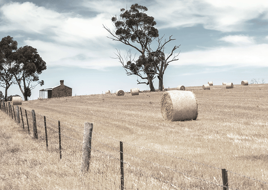Hay Bail Fields
