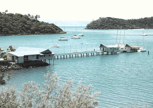 Tropical Marina