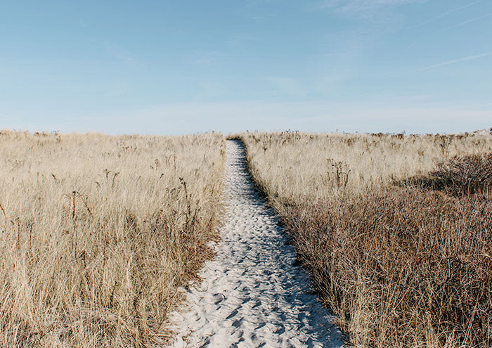 Over The Dunes