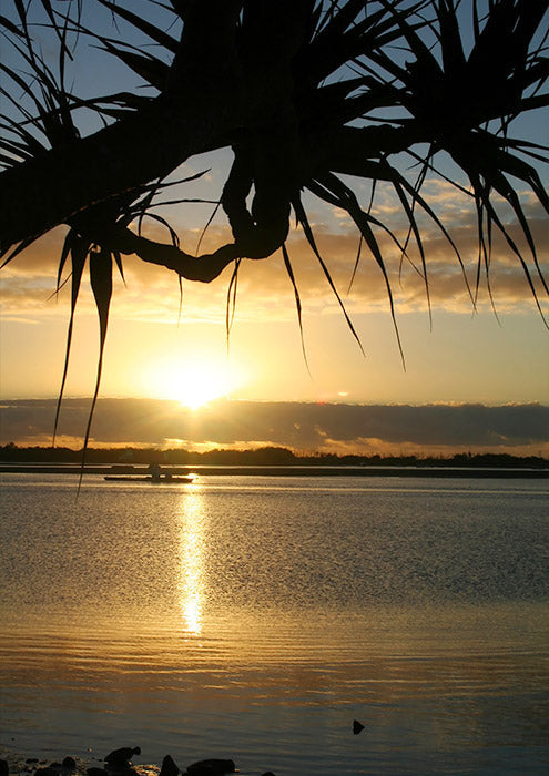 Shinning B