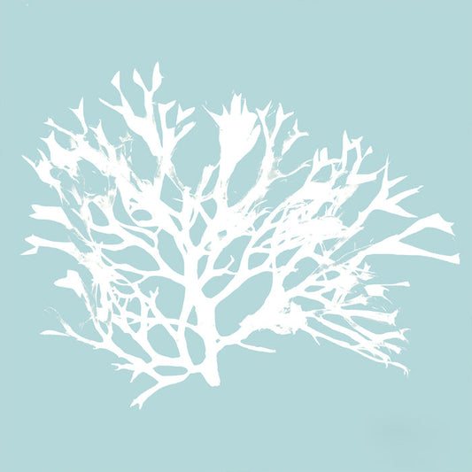 Seaweed IV